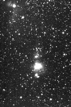 südl. Orion, 55 mm