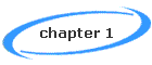 chapter 1