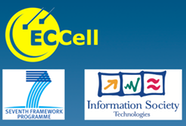 eccell banner logo nw