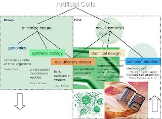 paceartificialcells_textmedium