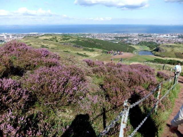 Arthurs Seat