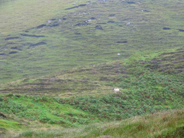 Quiraing