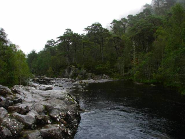 Glen Affric