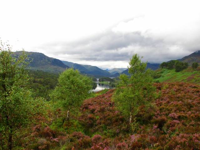 Glen Affric