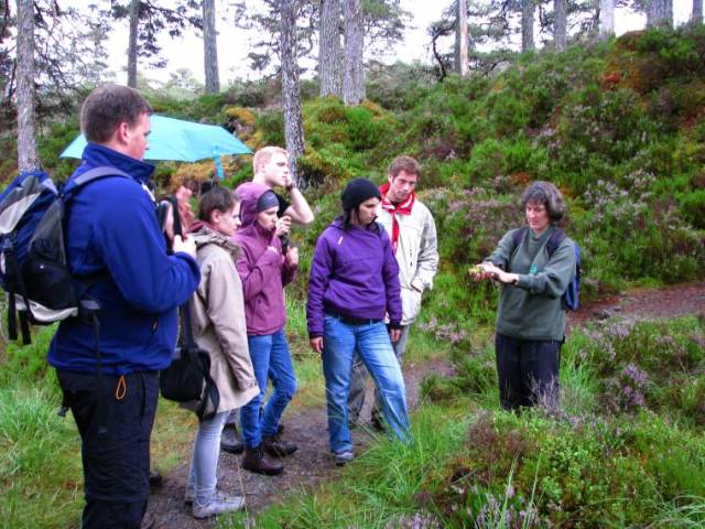 Glen Affric